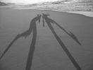220px-Shadows-in-the-sand
